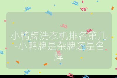 小鴨牌洗衣機(jī)排名第幾-小鴨牌是雜牌還是名牌