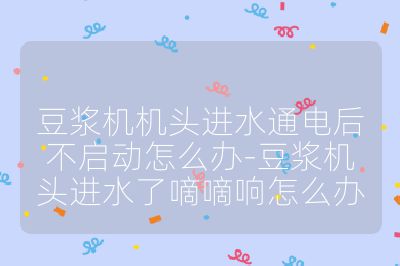 豆?jié){機(jī)機(jī)頭進(jìn)水通電后不啟動怎么辦-豆?jié){機(jī)頭進(jìn)水了嘀嘀響怎么辦