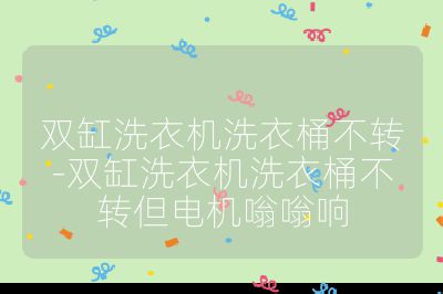 雙缸洗衣機洗衣桶不轉-雙缸洗衣機洗衣桶不轉但電機嗡嗡響
