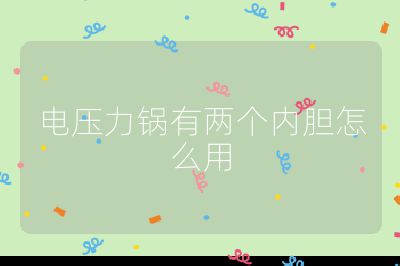 電壓力鍋有兩個內膽怎么用