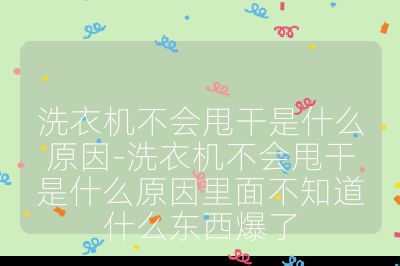 洗衣機不會甩干是什么原因-洗衣機不會甩干是什么原因里面不知道什么東西爆了