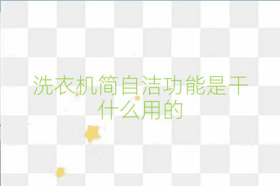 洗衣機(jī)簡自潔功能是干什么用的