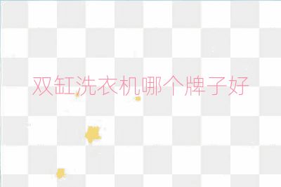 雙缸洗衣機哪個牌子好