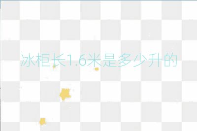 冰柜長(zhǎng)1.6米是多少升的