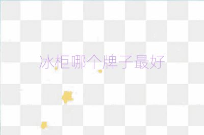 冰柜哪個牌子最好