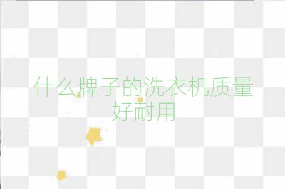 什么牌子的洗衣機質量好耐用